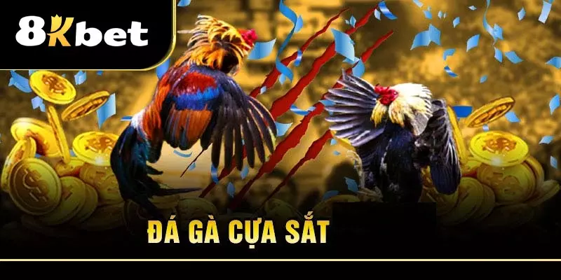 Đá gà cựa sắt 8Kbet – Sân chơi đá gà trực tuyến đỉnh cao