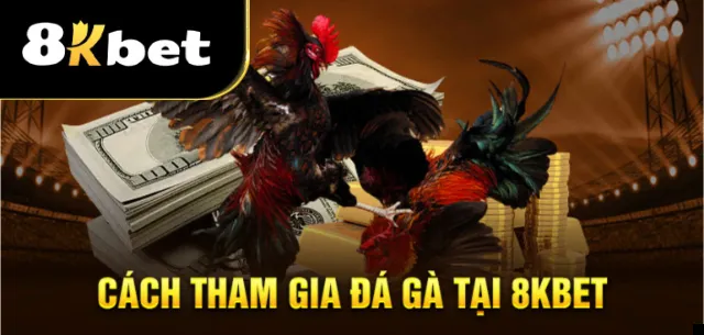 Đặt cược đá gà tại 8kbet dễ dàng với 3 bước nhanh chóng