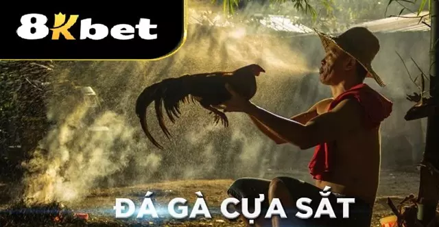 Giới thiệu về đá gà cựa sắt 8Kbet
