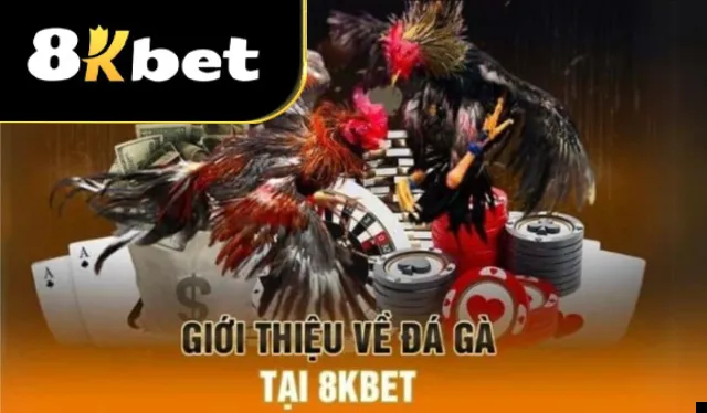 Tham gia đá gà 8kbet để tận hưởng trận đấu hấp dẫn, kịch tính với hình ảnh sống động