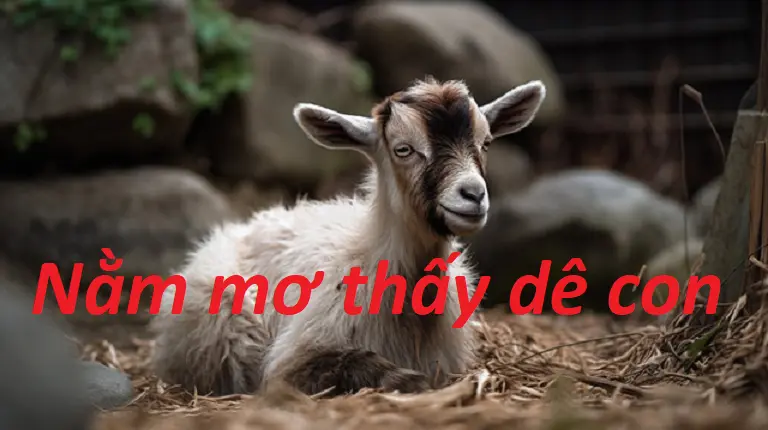 Giấc mơ của dê con 