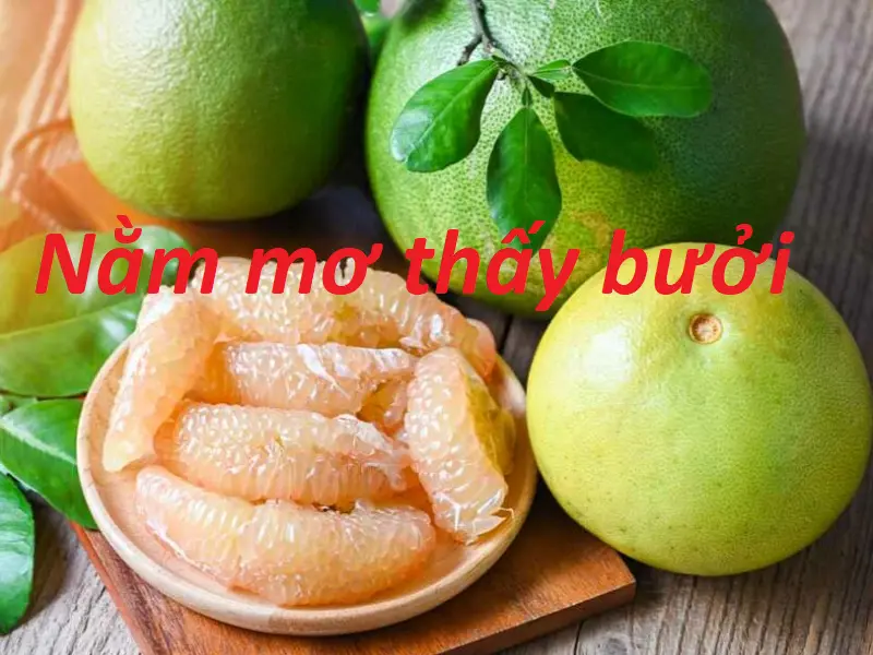 Nằm mơ thấy quả bưởi – Giải mã chi tiết những điềm báo sau mỗi giấc mơ thấy bưởi chi tiết nhất